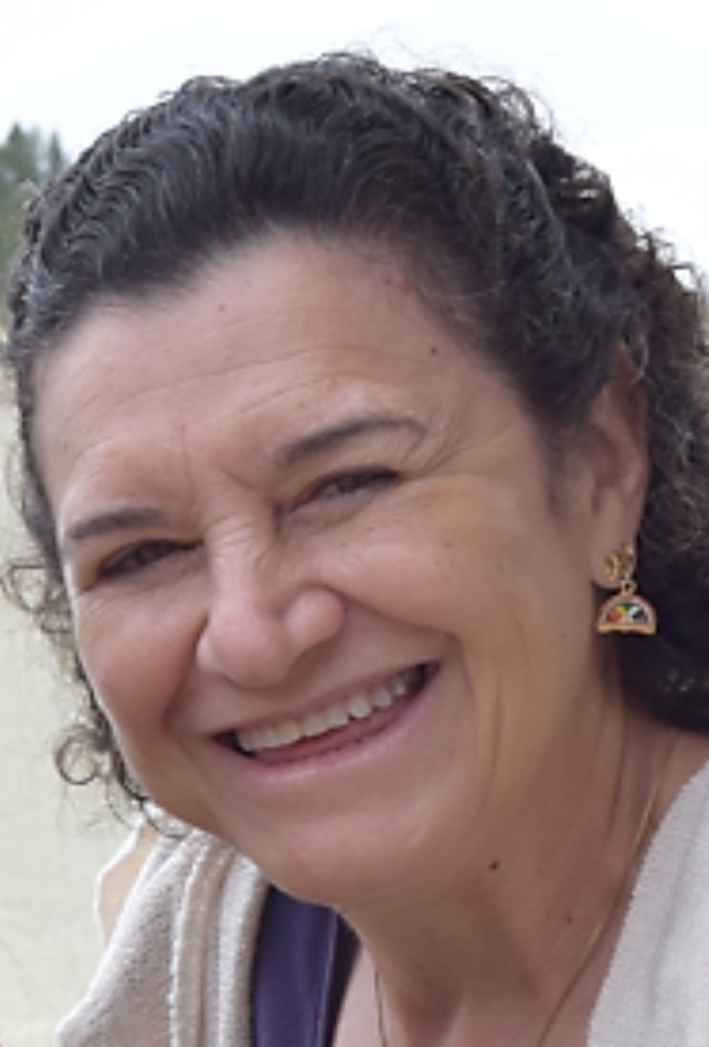 Denise Ap. H. de Moraes